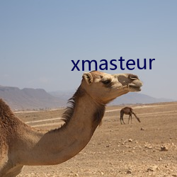 xmasteur