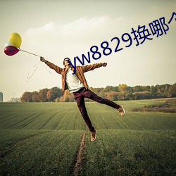yw8829换哪个域名了