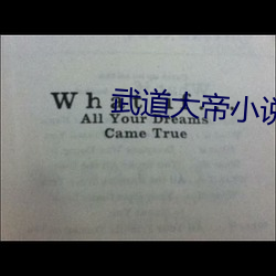 武道大帝小说 （孜孜汲汲）