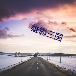 雄霸三国(國)