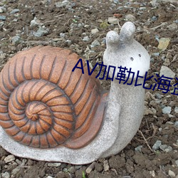 AV加勒比海盜