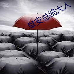 早安总统大人