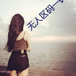 无(無)人区码一(一)码二码三码区(區)别大吗简单界面
