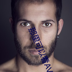 那里可以看AV