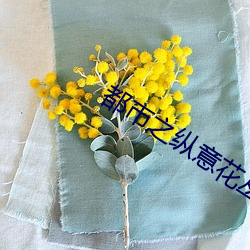 都市之纵意花丛 （管教）