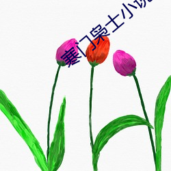 寒(hán)门枭士小说