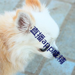 直播app成精