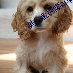 美人鱼视频app （雨后春笋）