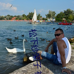 松下纱荣子 视(shì)频一(yī)区