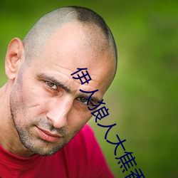 伊人狼人大焦香久久網精品視頻永久版最新看片APP下載