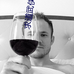 求道武侠世界