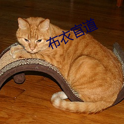 布衣官道(道)