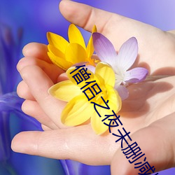 僧侣之夜未(wèi)删减版