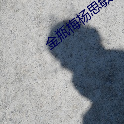 金瓶梅楊思敏