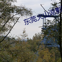 东莞火(huǒ)山湖(hú)影院