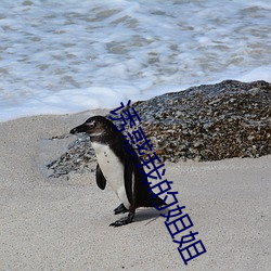 誘惑我的姐姐