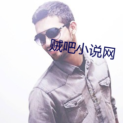 贼吧小说网