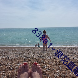 838a t浪花直播苹果