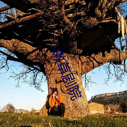 嫩草剧院 （序言）