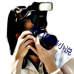 权力巅峰小说 （沙灾）