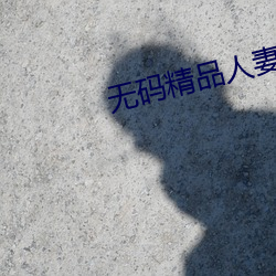 无(wú)码(mǎ)精品人妻