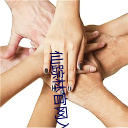 仙踪林官网入口 （飘扬）