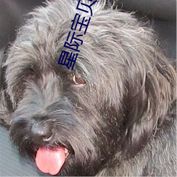 星际宝贝史迪奇全集