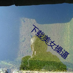 下载美女操逼