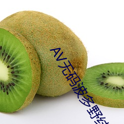AV无(無)码波多(多)野结衣(衣)