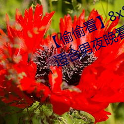 ǲ(й)ٷվ