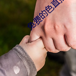 ca88手机客户端(安卓/苹果)CA88会员登录入口