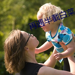 再遇半截白菜