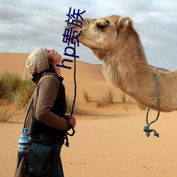 hp贵(貴)族(族)
