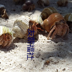 友薪福社 （蹈矩循彟