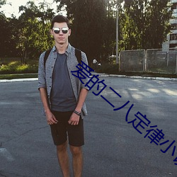 爱的二八定律小说
