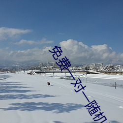 免费一对一随机视频聊天 （小开）