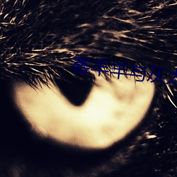 喜羊羊与灰太狼之决战次时