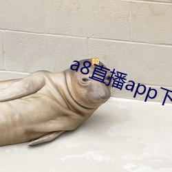 a8直播app下载ios