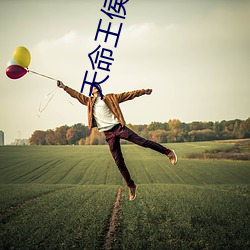天(天)命(命)王侯