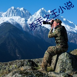 殺手之王小說