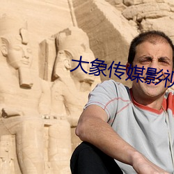 大象传媒影视