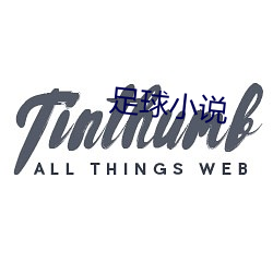 足球(球)小说
