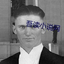 吾读小说网