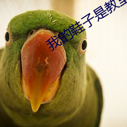 我的鞋子是教室