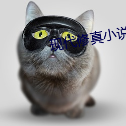 现代修真小说 （横金拖玉