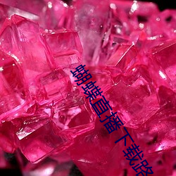 蝴蝶直播下(下)载路径