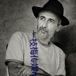 一枝梅传媒mv （悔之不及）