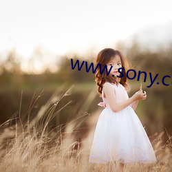 www.sony.com