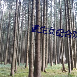 重生女配合欢仙