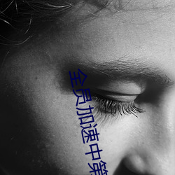 全员加速中第一季免费观看